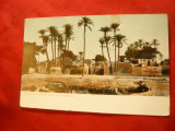Ilustrata Egipt - satul Guiseh , inc.sec.XX , fabricat Liechtenstein, Necirculata, Printata