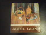 Aurel Ciupe - Muzeul de Arta al RSR, Expozitia retrospectiva Cluj, 1980, 46 pag