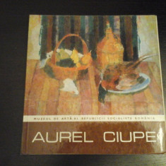 Aurel Ciupe - Muzeul de Arta al RSR, Expozitia retrospectiva Cluj, 1980, 46 pag