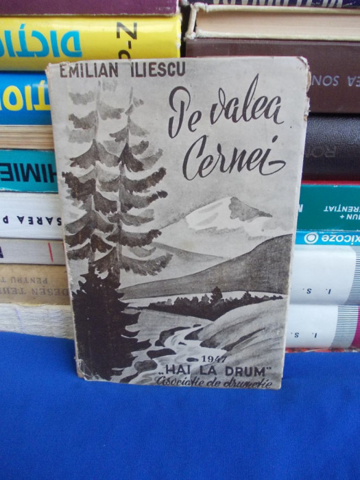 EMILIAN ILIESCU - PE VALEA CERNEI ( PESTE RETEZAT LA HERCULANE ) - 1947