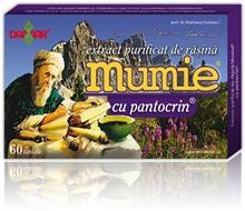 Extract Purificat de Rasina Mumie cu Pantocrin Damar 60tb Cod: damg0037 foto