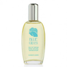 Elizabeth Arden Blue Grass Eau De Perfume Spray 100ml foto