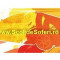 ScolideSoferi.ro ~ GHID-ul on-line al Scolilor de Soferi din Romania