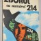 Zborul cu numarul 214 - Ioan Dragos Stinghe