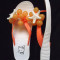 SLAPI DAMA PAPUCI FLIP-FLOPS ALBI ORANGE CASA PLAJA PISCINA STEA de MARE BILE