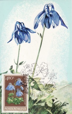 6000 - Carte maxima Romania 1982 foto