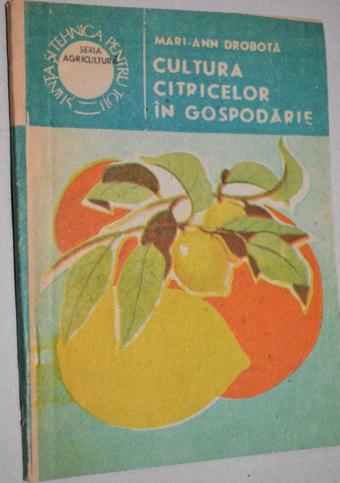 Cultura citricelor in gospodarie - Mari-Ann-Drobota
