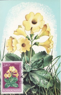 6001 - Carte maxima Romania 1982 foto