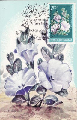 6002 - Carte maxima Romania 1982 foto