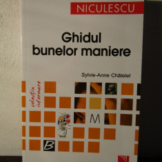 Ghidul Bunelor Maniere - SylviE-Anne Chatelet