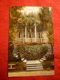 Ilustrata Batumi - Caucaz , color Rusia cca 1900
