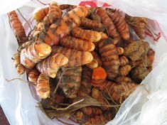 Turmeric proaspat (100g) foto