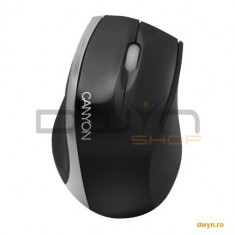 Input Devices - Mouse Box CANYON CNR-MSO01N (Cable, Optical 800dpi,3 btn,USB), Black/Silver foto