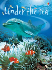 Beginners Under the Sea - Carte Usborne (4+) foto