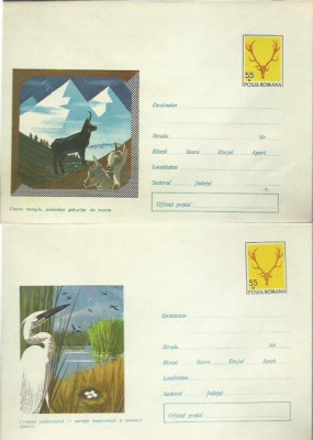 AMS# - LOT DE 4 PLICURI TEMA ANIMALE / PASARI foto