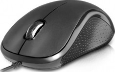 MOUSE DELUX USB BLACK DLM-391BU foto