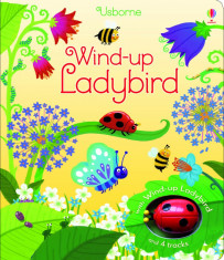 Wind-up Ladybird 270 x 230mm - Usborne book (3+) foto