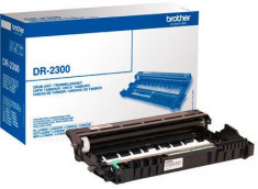 Drum Brother DR2300 | 12 000 pgs | HL-L2360DN/HL-L2365DN/DCP-L2540DN foto