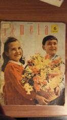 Revista FEMEIA - iunie 1963 foto