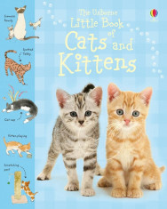 Little Book of Cats and Kittens - Carte Usborne (5+) foto