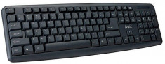 Tastatura LOGIC LK-10 USB Black Slovenian Layout foto