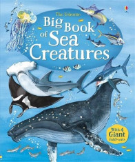 Big Book of Big Sea Creatures - Usborne book (4+) foto