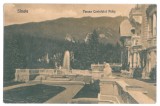 4091 - SINAIA, Prahova, Peles Castle, Romania - old postcard - unused, Necirculata, Printata