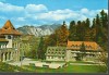 CPI (B9222) CARTE POSTALA - PREDEAL. PARAUL RECE, Necirculata, Fotografie