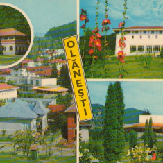 CPI (B9240) CARTE POSTALA - OLANESTI, MOZAIC