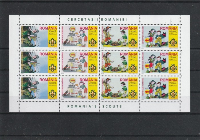 Romania cercetasi coala mica ,Nr lista 1686a.