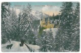 4076 - SINAIA, Prahova, Peles Castle - old postcard - used - 1925, Circulata, Printata