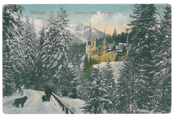 4076 - SINAIA, Prahova, Peles Castle - old postcard - used - 1925