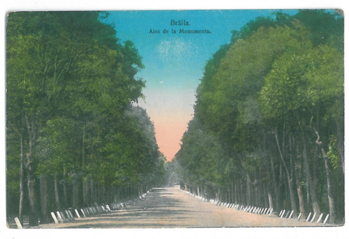 4087 - BRAILA, Park - old postcard - unused