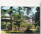 Bnk cp Slanic Moldova - Vedere din parc - circulata, Printata