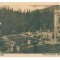4074 - SINAIA, Prahova, Peles Castle - old postcard - unused