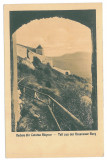 4069 - RASNOV, Brasov, Cetatea - old postcard - unused, Necirculata, Printata