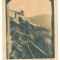 4069 - RASNOV, Brasov, Cetatea - old postcard - unused
