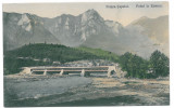 4123 - POIANA TAPULUI, Brasov, bridge - old postcard - used - 1910, Circulata, Printata
