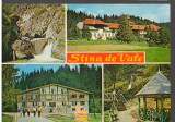 CPI (B9247) CARTE POSTALA - STANA DE VALE, MOZAIC, Necirculata, Fotografie