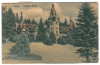4102 - SINAIA, Prahova, Peles Castle - old postcard - used - 1931, Circulata, Printata