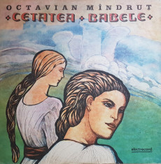 CETATEA BABELE - Octavian Mandrut (DISC VINIL) foto