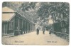 4100 - ZIZIN, Brasov, Park - old postcard - unused, Necirculata, Printata