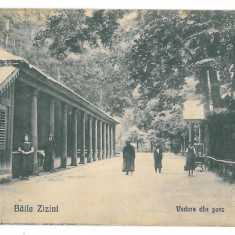 4100 - ZIZIN, Brasov, Park - old postcard - unused