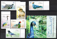 CUBA 2013, Fauna - Pasari, serie neuzata, MNH foto