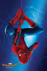 Spider-Man Homecoming Poster Pack Teaser 61 x 91 cm foto