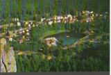 CPI (B9252) CARTE POSTALA - TUSNAD. VEDERE DE PE STANCA SOIMILOR, Circulata, Fotografie