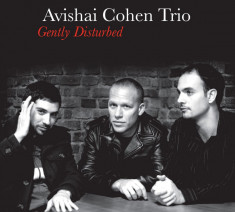 Avishai Cohen Trio Gently Disturbed digipack (cd) foto