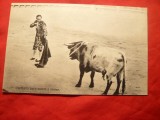 Ilustrata - Corida- Toreador si Taur , interbelica