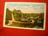 Ilustrata SUA Ohio ,Youngtown, Parc Milly Creek ,Pavilion ,inc.sec.XX, Necirculata, Printata