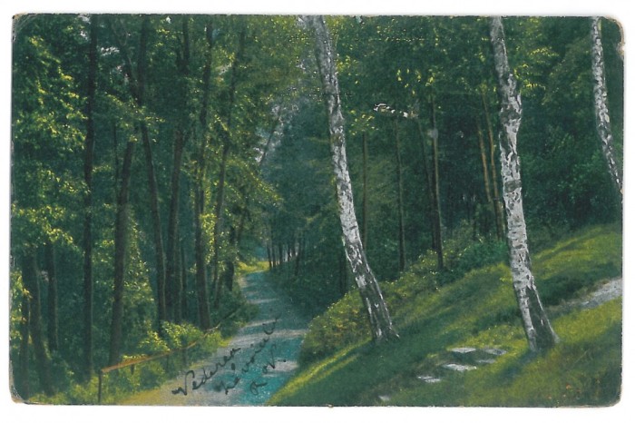 4154 - Rm. VALCEA, Dealul Capela - old postcard - used - 1924